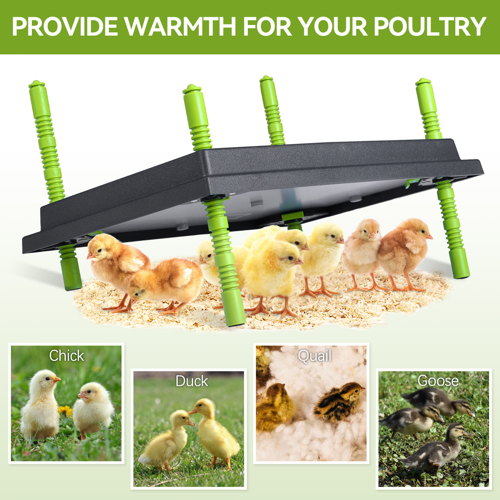 แผ่นทำความร้อนสำหรับลูกไก่ ขนา - Hot Dog Roller Grill บทวิจารณ์และราคา